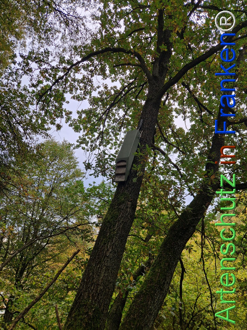 Bild zum Eintrag (1128366-160)