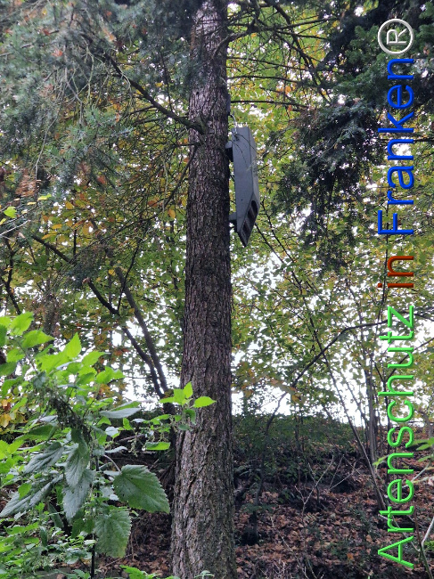 Bild zum Eintrag (1128367-160)