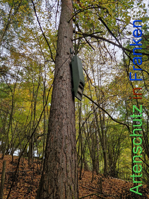 Bild zum Eintrag (1128368-160)