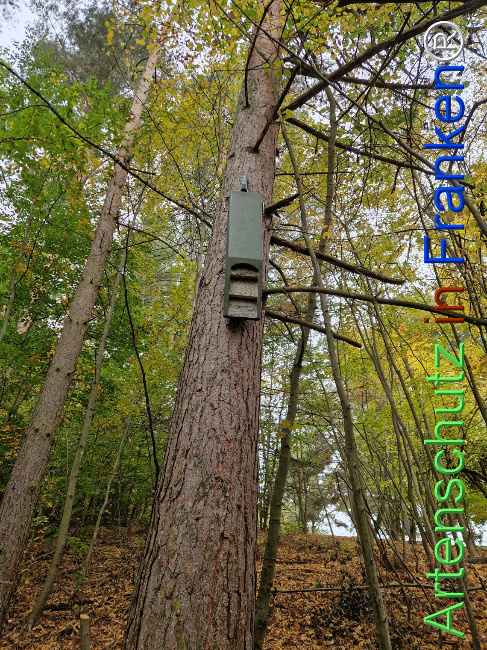 Bild zum Eintrag (1128379-160)