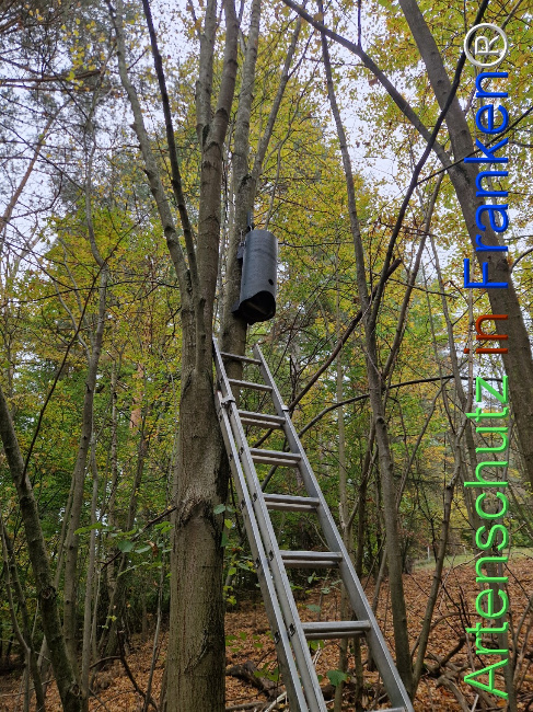 Bild zum Eintrag (1128380-160)