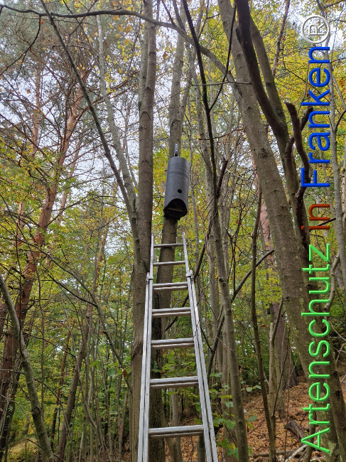 Bild zum Eintrag (1128381-160)