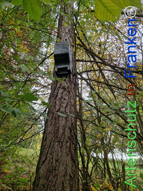 Bild zum Eintrag (1128382-160)