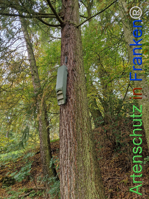 Bild zum Eintrag (1128384-160)