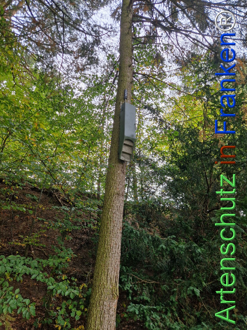 Bild zum Eintrag (1128385-160)