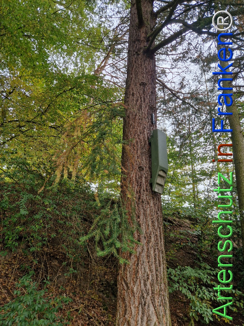 Bild zum Eintrag (1128386-160)