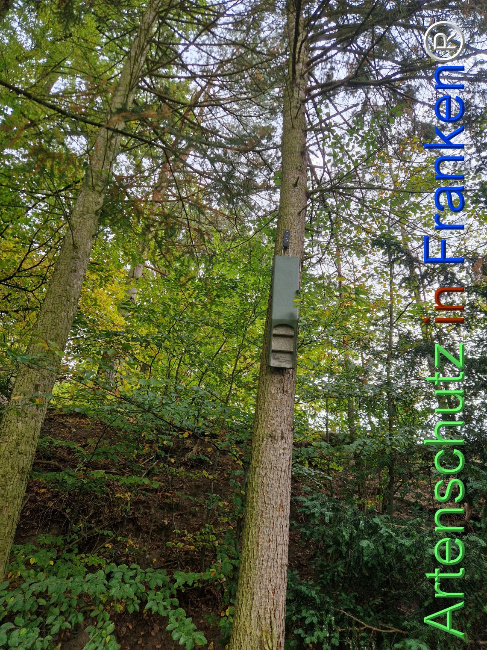 Bild zum Eintrag (1128387-160)