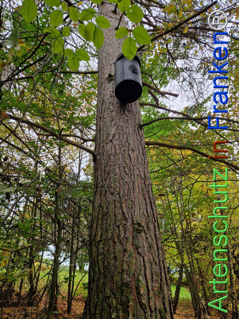 Bild zum Eintrag (1128397-160)