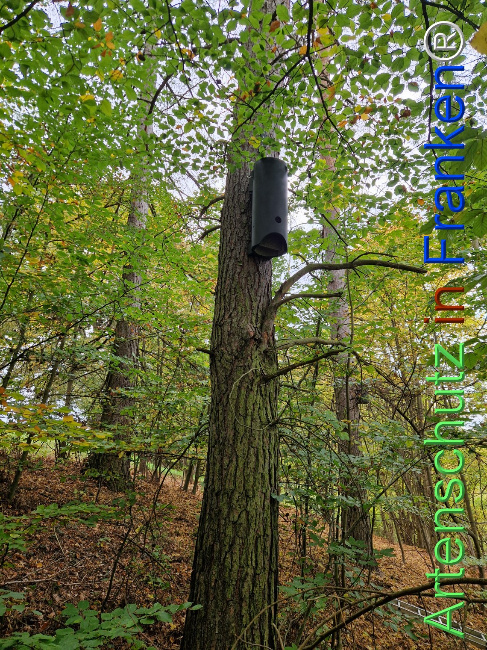 Bild zum Eintrag (1128398-160)