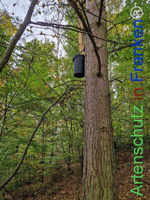 Bild zum Eintrag (1128399-160)