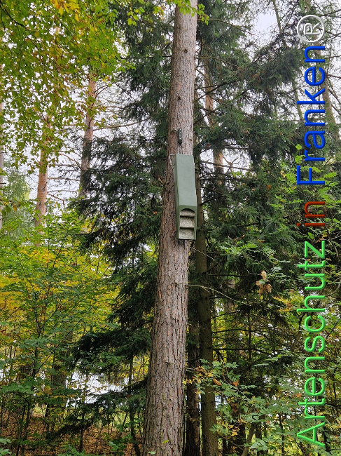 Bild zum Eintrag (1128401-160)