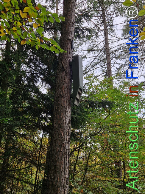 Bild zum Eintrag (1128402-160)