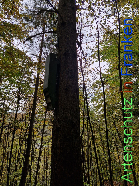 Bild zum Eintrag (1128403-160)