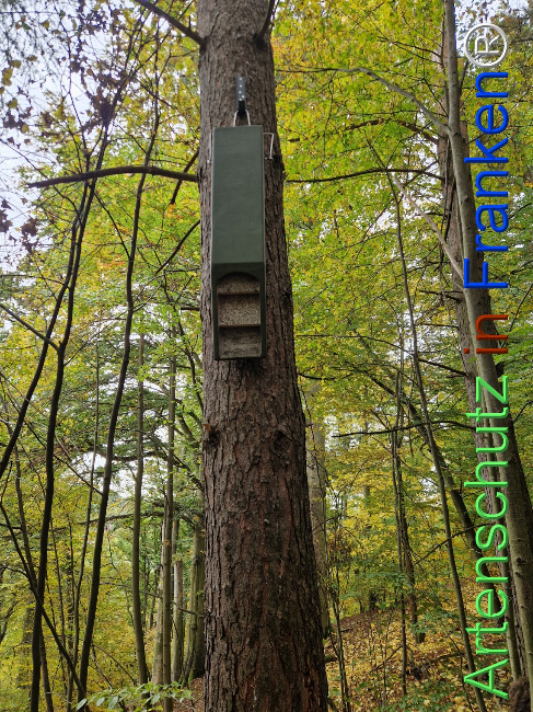 Bild zum Eintrag (1128404-160)