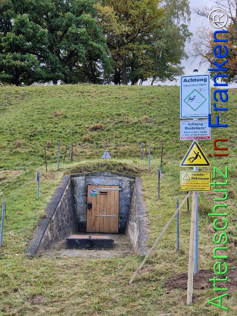 Bild zum Eintrag (1128418-160)