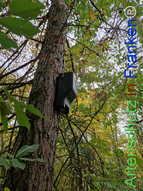 Bild zum Eintrag (1128435-160)