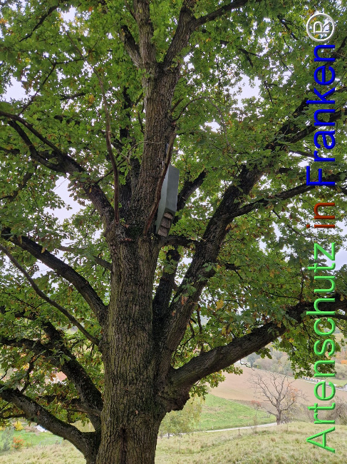 Bild zum Eintrag (1128436-160)