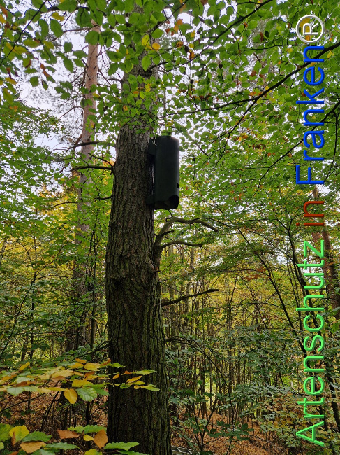 Bild zum Eintrag (1128437-160)