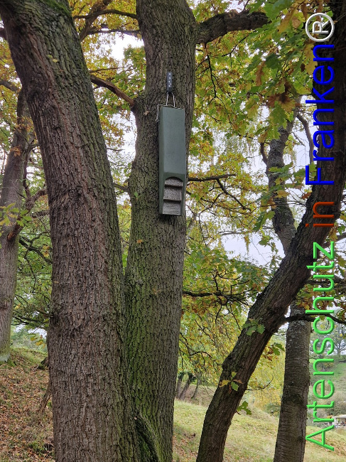 Bild zum Eintrag (1128439-160)