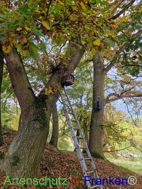 Bild zum Eintrag (1128488-160)