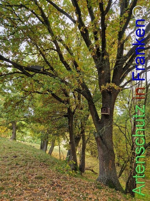 Bild zum Eintrag (1128489-160)