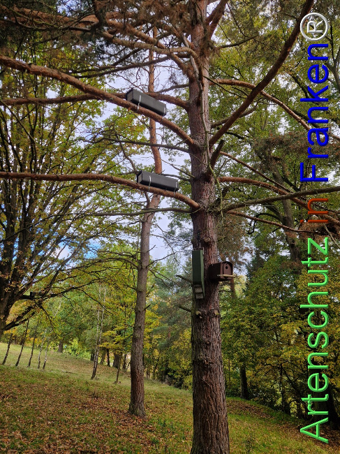 Bild zum Eintrag (1128490-160)