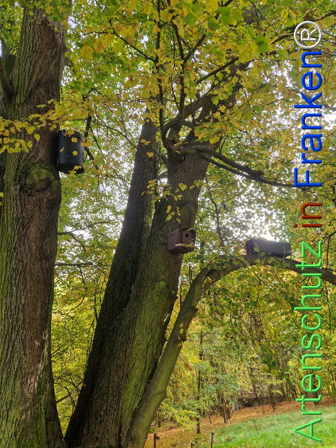 Bild zum Eintrag (1128498-160)