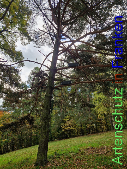 Bild zum Eintrag (1128500-160)