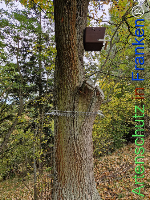 Bild zum Eintrag (1128506-160)