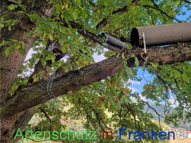 Bild zum Eintrag (1128507-160)