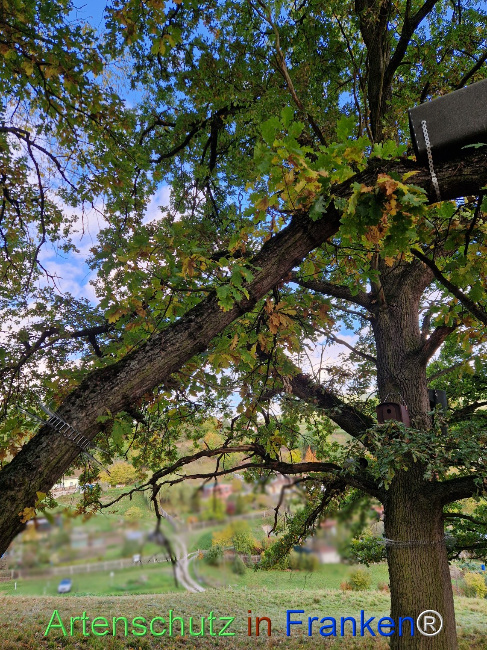 Bild zum Eintrag (1128511-160)