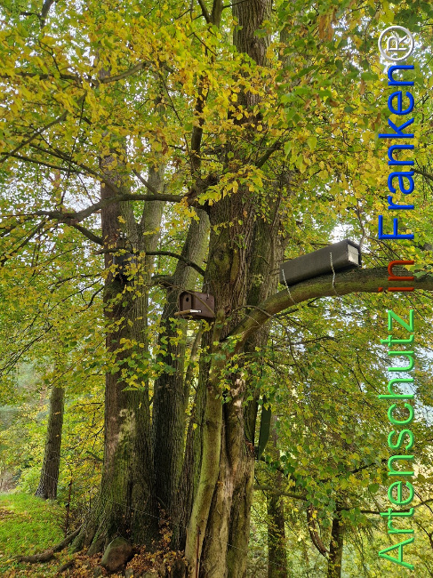 Bild zum Eintrag (1128532-160)