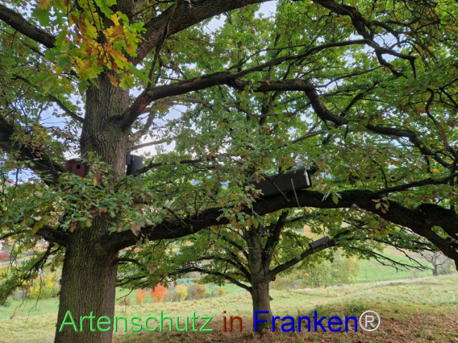 Bild zum Eintrag (1128533-160)