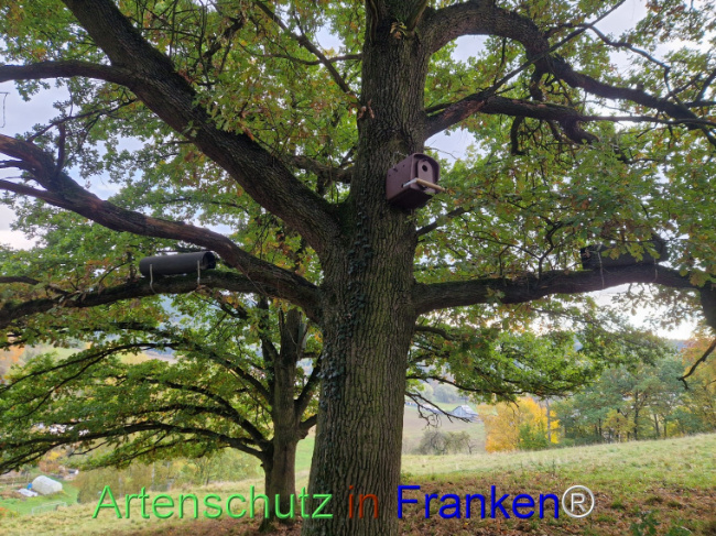 Bild zum Eintrag (1128534-160)