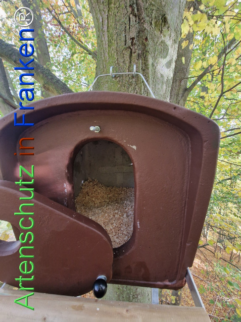 Bild zum Eintrag (1128554-160)