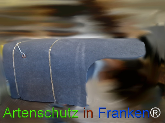 Bild zum Eintrag (1129541-160)