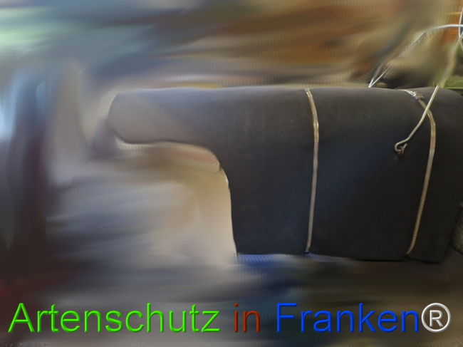 Bild zum Eintrag (1129542-160)