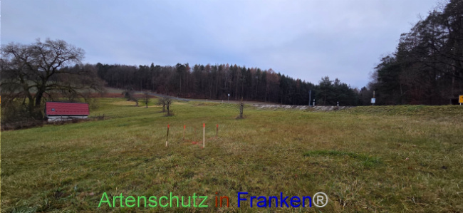 Bild zum Eintrag (1131878-160)