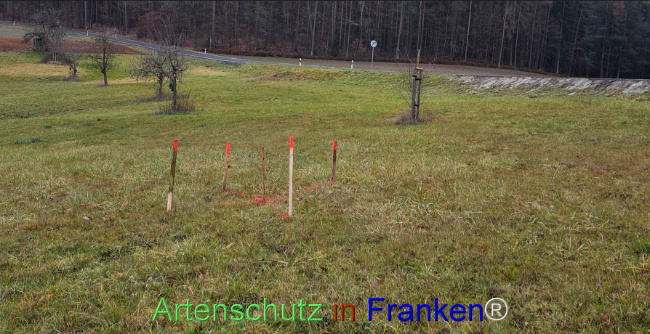 Bild zum Eintrag (1131880-160)