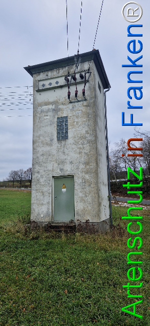 Bild zum Eintrag (1132294-160)