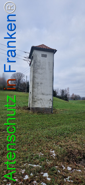 Bild zum Eintrag (1132295-160)