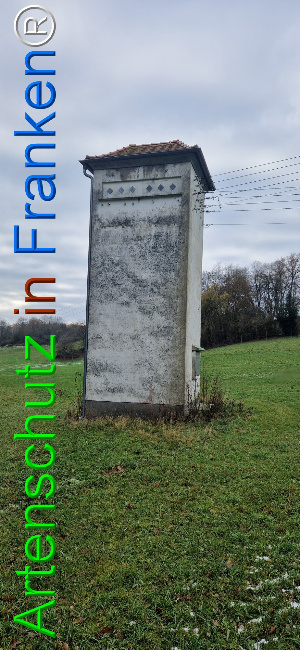 Bild zum Eintrag (1132296-160)