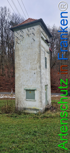 Bild zum Eintrag (1132297-160)