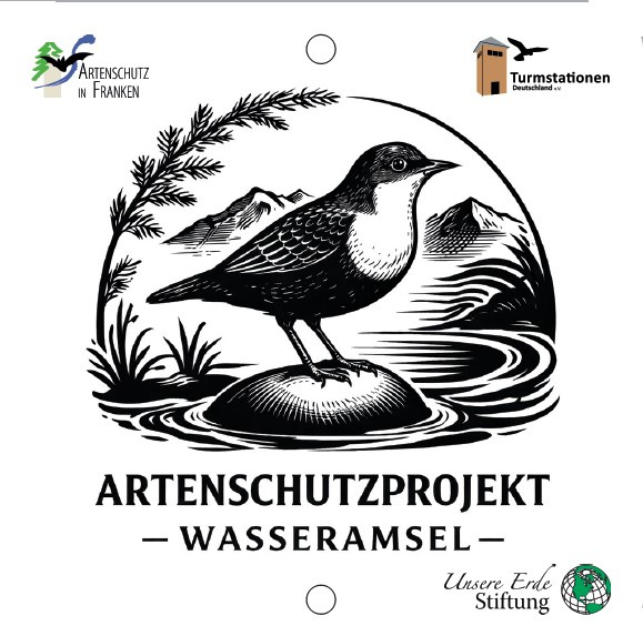 Bild zum Eintrag (1132494-160)