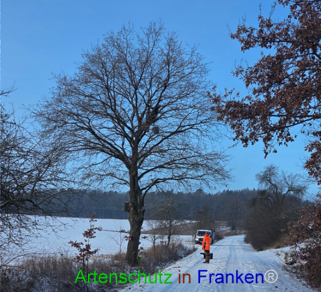 Bild zum Eintrag (1132994-160)