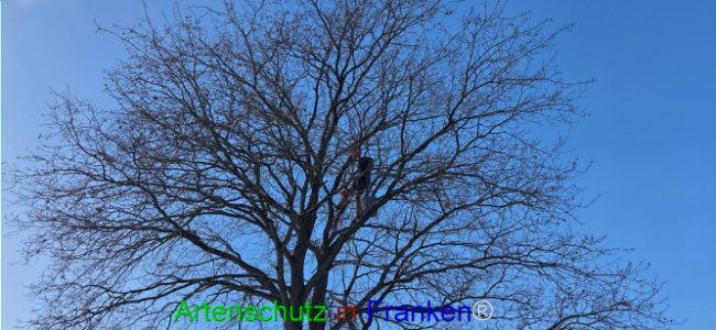 Bild zum Eintrag (1132997-160)