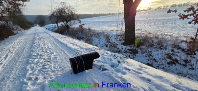 Bild zum Eintrag (1132998-160)