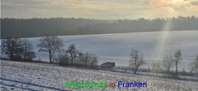 Bild zum Eintrag (1132999-160)