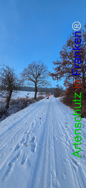 Bild zum Eintrag (1133000-160)