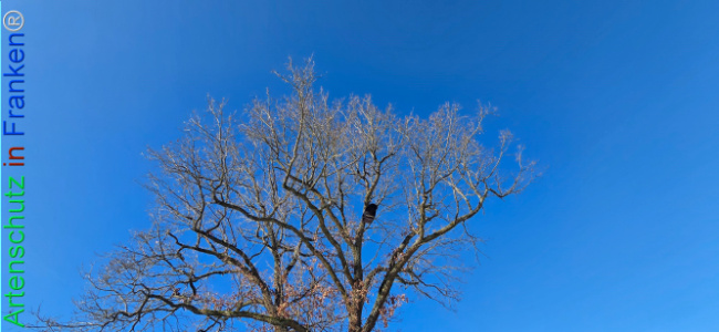 Bild zum Eintrag (1133461-160)